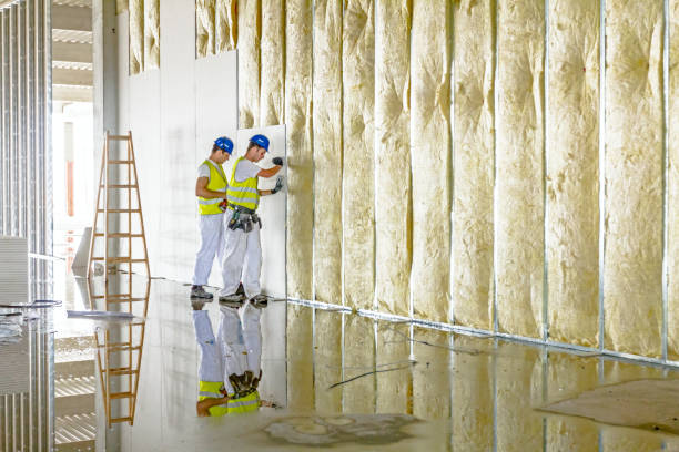 Best Types of Insulation in Six Shooter Canyon, AZ